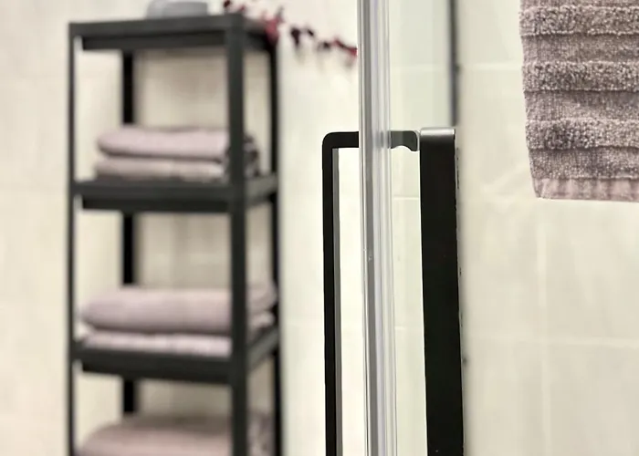 Apartment Linz Denkstrasse Lägenhet