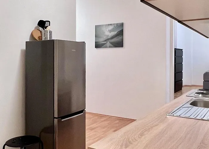 Apartment Linz Denkstrasse Lägenhet Linz